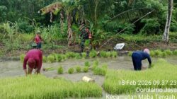 Dukung Ketahanan Pangan, Babinsa Koramil 03/Maba Bantu Petani Siapkan Bibit Padi