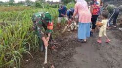 Koramil Wonoasih Bersama Sejumlah Pihak Melaksanakan Aksi Bersih-Bersih Di TPS Sumbertaman