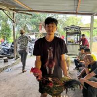 Kapolrestabes Perintahkan ‘Gas’, Judi Gang Sejati Malah ‘Rem Blong’: Diduga Dikelola Oknum Aparat berambut Cepak