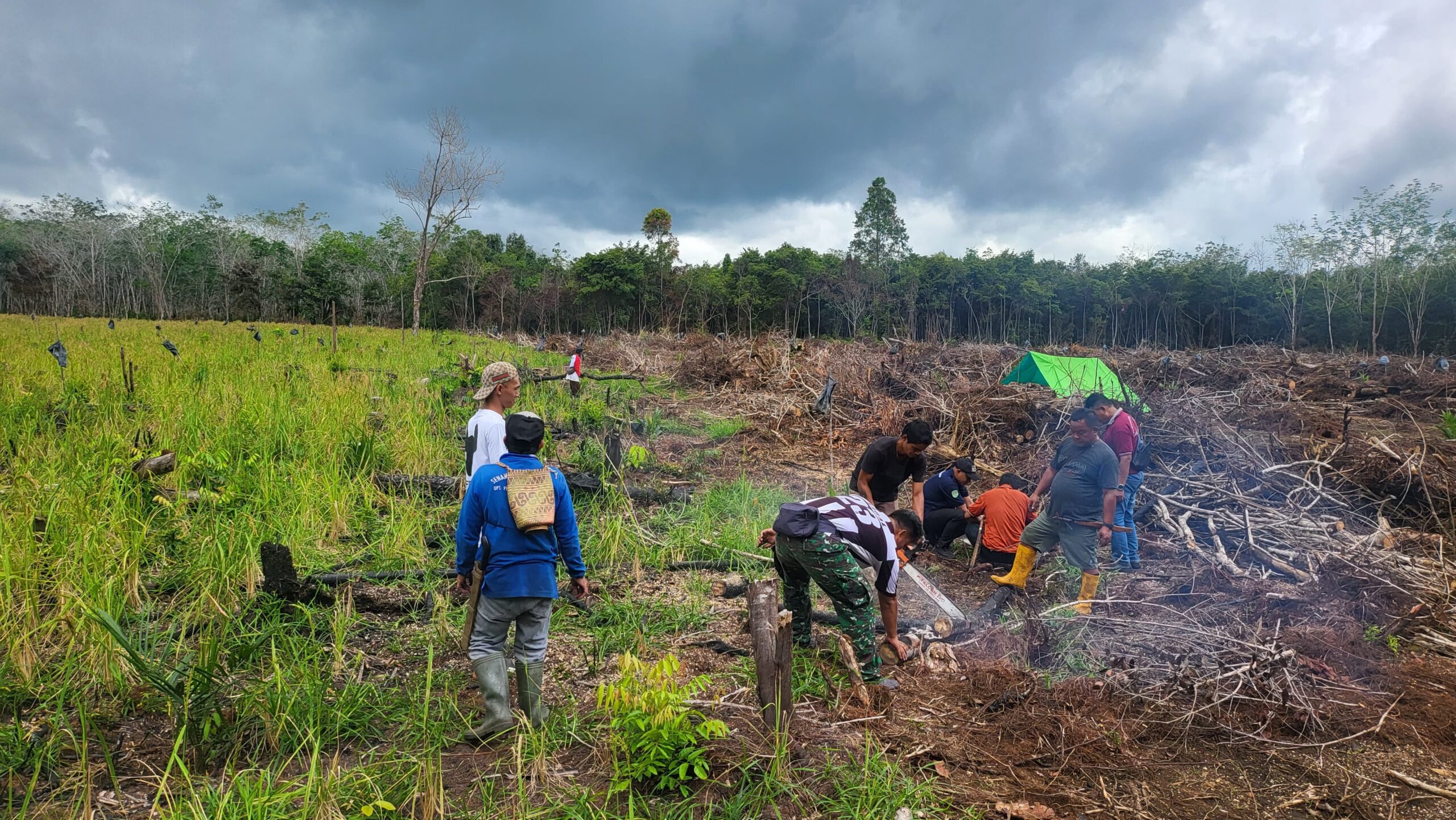 Anggota Satgas TMMD Wiltas Ke-127 Kodim 0912/Kubar Gotong Royong Bantu Warga Cari Kayu Bakar Untuk Syukuran Anggota Satgas TMMD Wiltas Ke-127 Kodim 0912/Kubar Gotong Royong Bantu Warga Cari Kayu Bakar Untuk Syukuran