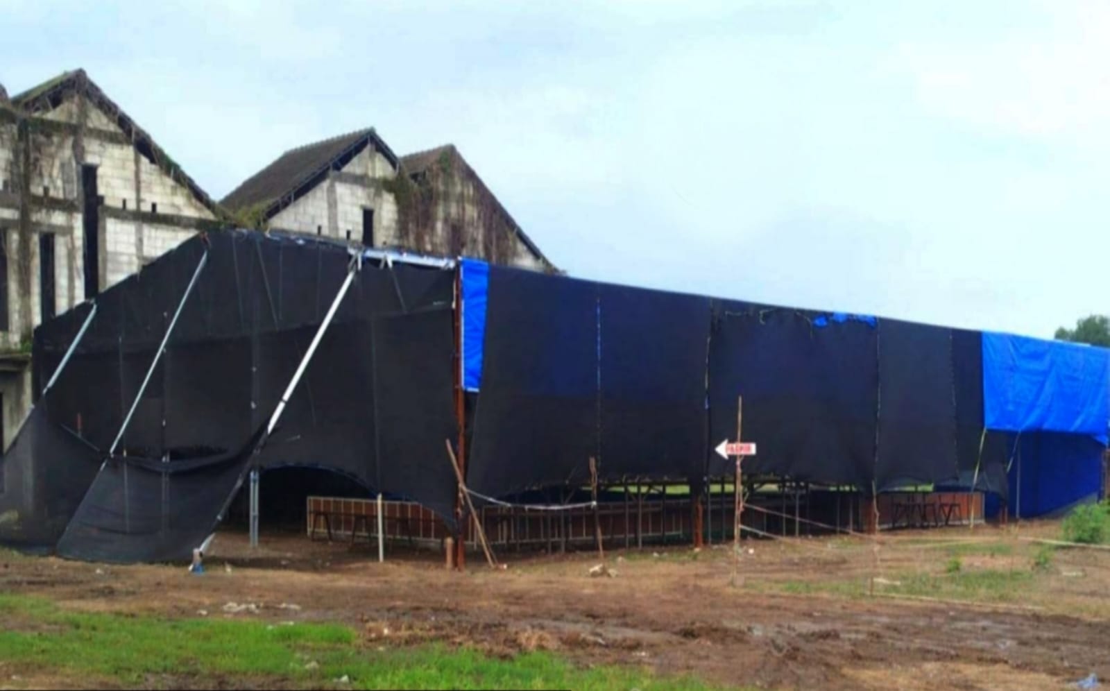 Diduga Beroperasi Lagi Usai Dibongkar, Praktik Judi Sabung Ayam di Sedati Tuai Sorotan dan Desakan Penindakan Tegas