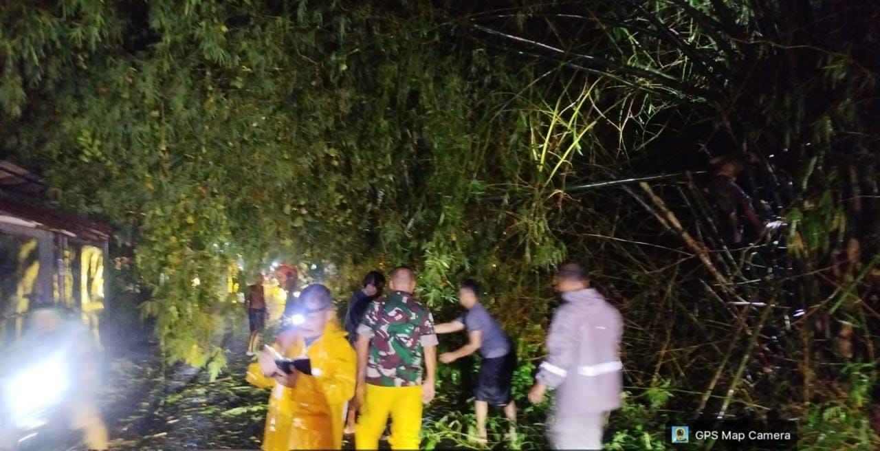 Hujan Deras dan Angin Kencang Robohkan Pohon di Jalur Paiton–Pakuniran, Polisi Probolinggo Sigap Evakuasi Hujan Deras dan Angin Kencang Robohkan Pohon di Jalur Paiton–Pakuniran, Polisi Probolinggo Sigap Evakuasi
