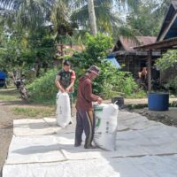 Wujud Kemanunggalan TNI-Rakyat, Babinsa BAS Bantu Petani Jemur Padi