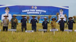 Dandim Bojonegoro damping Bupati Panen Perdana Varietas Unggul Padi Gamagora