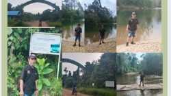 Tebang Pilih di Hutan Konservasi,Kinerja Personel BKSDA Sulteng di Morowali Utara Disorot Tajam, Ada Apa?  ​