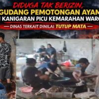 Dugaan Pembiaran? Usaha Pemotongan Ayam di Kanigaran Tak Tersentuh Sanksi