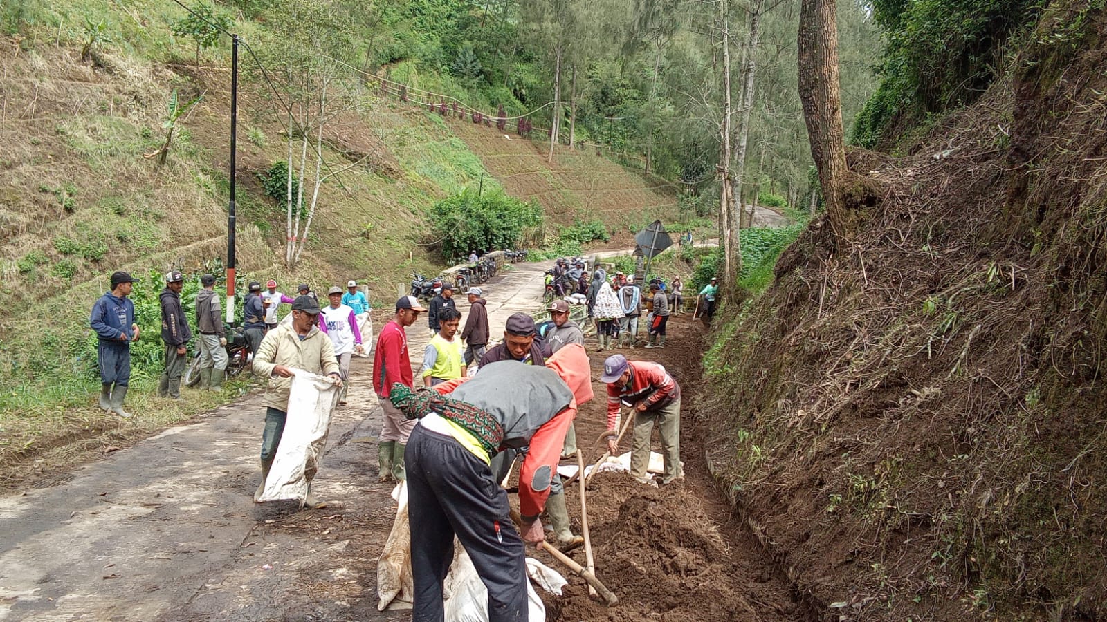 Jalan Rusak dan Longsor Mengancam, Warga Sumberanom Bergerak Cepat Amankan Akses Sumber–Sukapura Jalan Rusak dan Longsor Mengancam, Warga Sumberanom Bergerak Cepat Amankan Akses Sumber–Sukapura