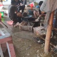 Keluhan Warga Tak Digubris? Gudang Pemotongan Bebek di Kanigaran Tetap Beroperasi Meski Dipersoalkan