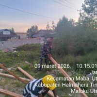 Peduli Warga Binaan, Babinsa Kodim 1505/Tidore Bantu Dirikan Tiang Rumah