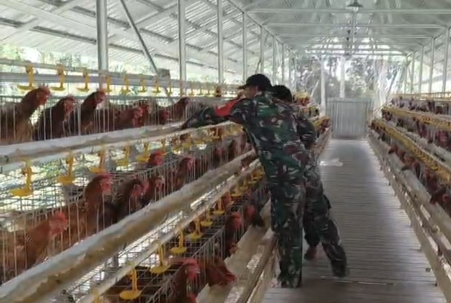 Babinsa Koramil Pandawan Aktif Dampingi Usaha Ternak Ayam Petelur BUMDes