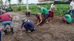 Komsos, Koramil Leces Kerja Bakti Memperbaiki Jalan Desa