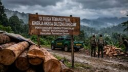 Integritas Kepala BKSDA Sulteng Dipertanyakan, Apakah Punya Nyali Atau Tidak, Evaluasi Personil Bahkan Mutasi Ke Papua, Guna Penyegaran Jiwa Nasionalisme.