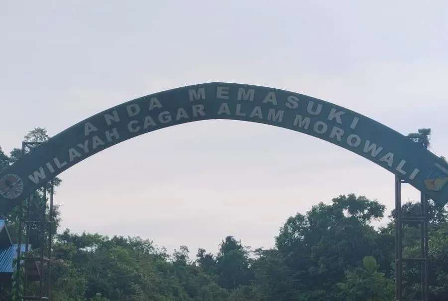 Diminta BKSDA Morut, Hadirkan Keadilan Sosial Bagi Seluruh Rakyat Indonesia, (Sila Ke – 5) Pancasila, Tampa Pandang Bulu Dan Kemana Kayu Sitaan Selama Ini.