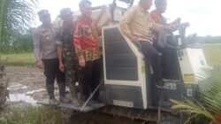 Dukung Ketahanan Pangan, Pasiops Kodim 1008/Tabalong Hadiri Panen Raya Padi