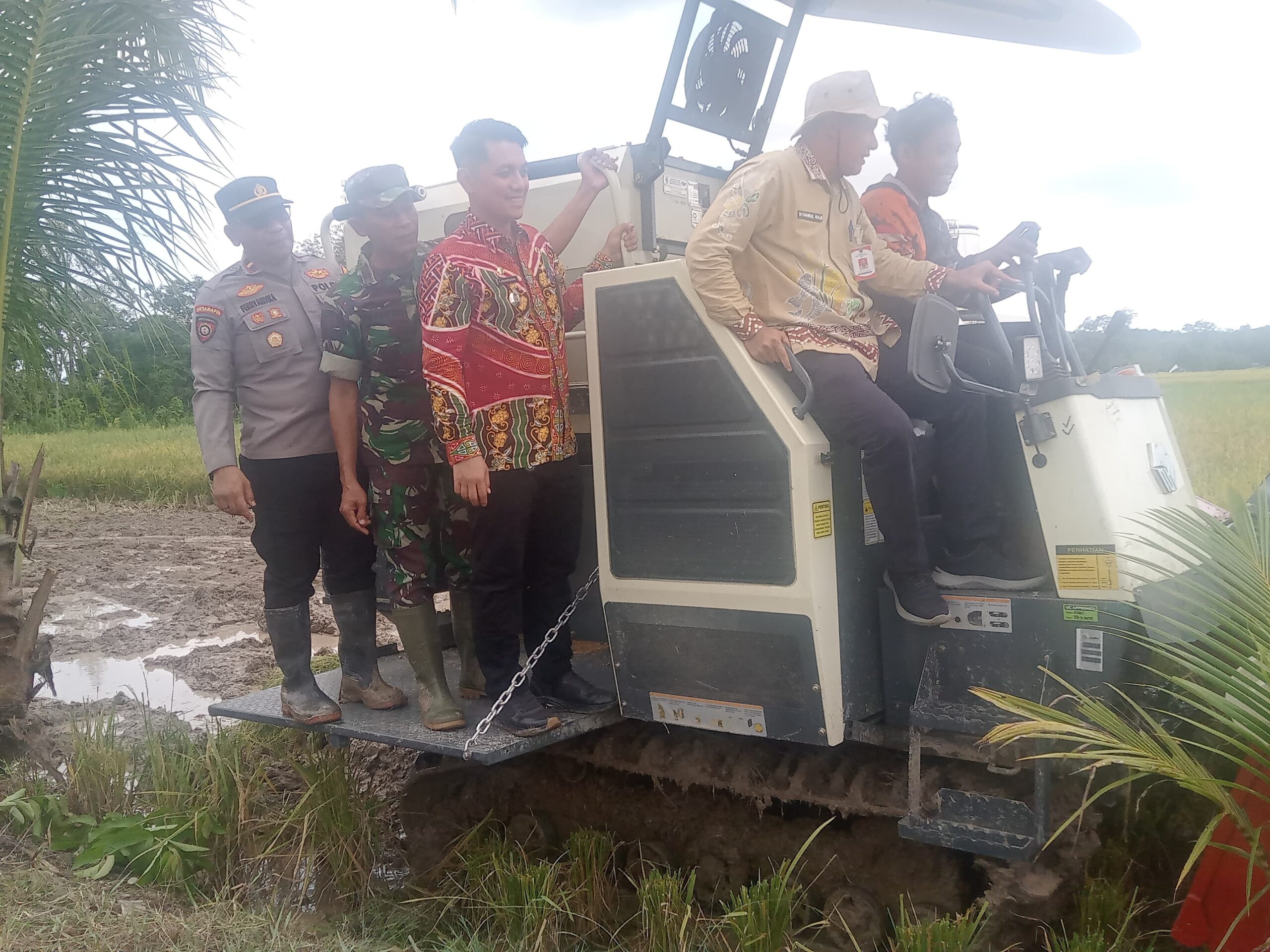 Dukung Ketahanan Pangan, Pasiops Kodim 1008/Tabalong Hadiri Panen Raya Padi