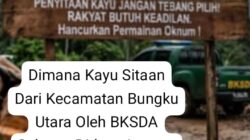 Diminta Kepala BKSDA Sulteng, Tunjukan Kayu Sitaan Selama Ini Di Bungku Utara, Atau Hmmmm ???