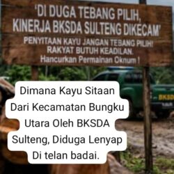 Diminta Kepala BKSDA Sulteng, Tunjukan Kayu Sitaan Selama Ini Di Bungku Utara, Atau Hmmmm ???