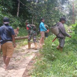 Wujud Kepedulian TNI, Babinsa Dampingi Warga Bersihkan Jalur Listrik Desa