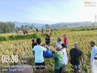 Diduga Diserang Vertigo, Petani di Desa Gayam Blora Meninggal di Area Persawahan