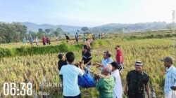 Diduga Diserang Vertigo, Petani di Desa Gayam Blora Meninggal di Area Persawahan