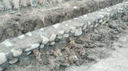 Proyek Dinas Pertanian Brebes Jadi Sorotan: Pekerja Tak Tahu Pelaksana, Pondasi Dinilai Asal Jadi