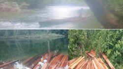 Diminta Presiden RI, Turun Gunung Dugaan Maraknya Pembalakan Liar Di Hutan Cagar Alam, BKSDA, KPH Dan APH Miskram Terikat Tali Pocong.