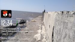 Tambak Udang di Bibir Pantai Paiton Disorot, Dua LSM Desak Aparat Usut Dugaan Pelanggaran