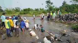 Demi Kelancaran Irigasi Pertanian, Babinsa Kamulan Dampingi Pembersihan Sungai Sodetan Kaliputih Demi Kelancaran Irigasi Pertanian, Babinsa Kamulan Dampingi Pembersihan Sungai Sodetan Kaliputih