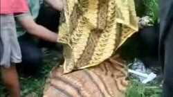 Carok Antar Kerabat Gegerkan Lumajang, Abdul Karim Tewas Bersimbah Darah, Lawan Dirawat Intensif