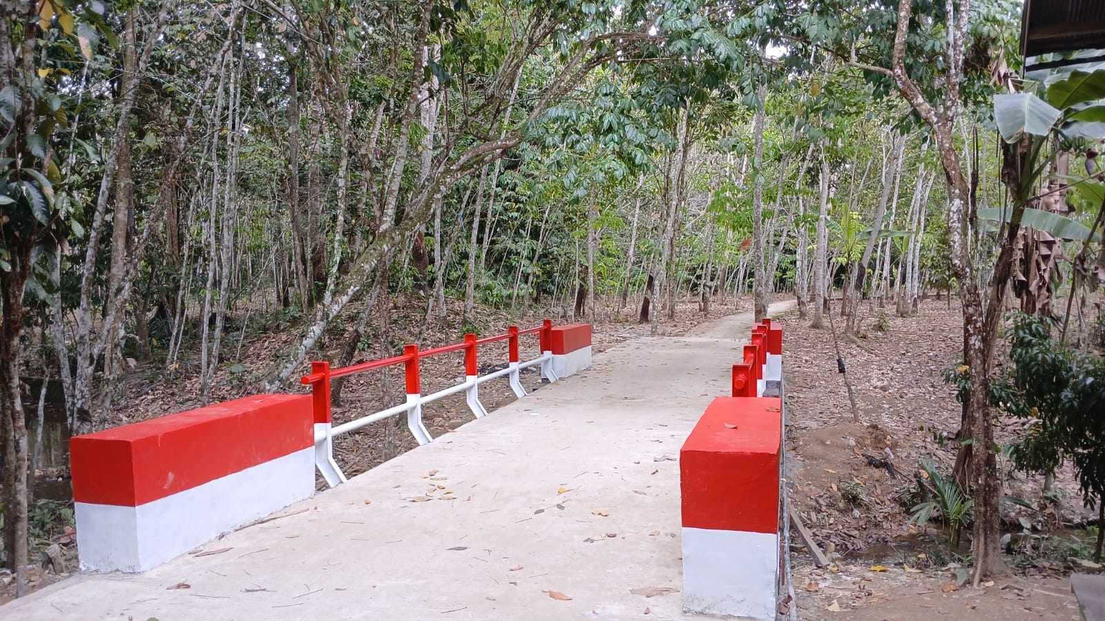 Warga Desa Mangkusip Bersyukur, Jembatan Perintis Garuda Jadi Harapan Baru Masyarakat