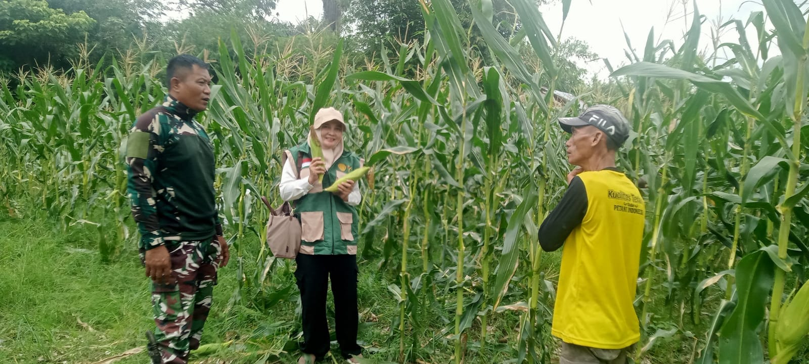 Petani