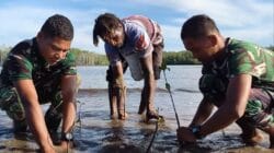 Bersatu Dengan Alam, Satgas TMMD Kodim 1710/Mimika Tanam Ribuan Bibit Mangrove Mangrove