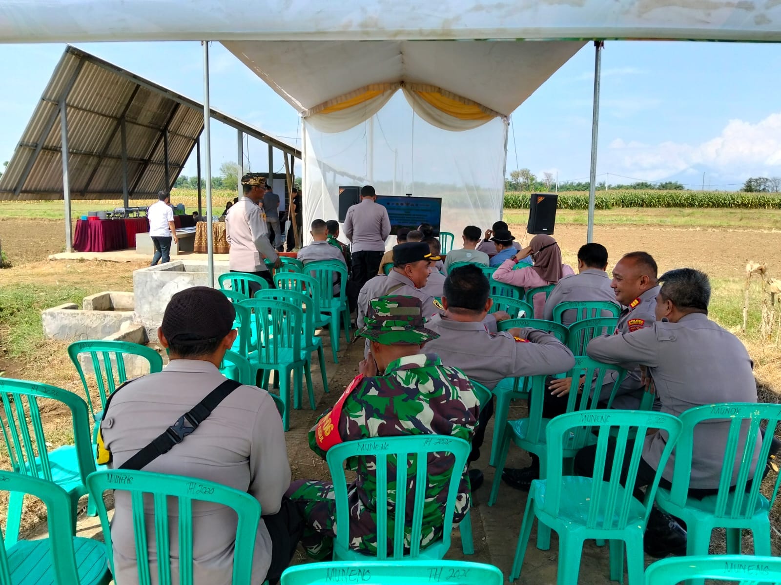 Koramil Sumberasih Hadiri Panen Raya Jagung Kuartal Kedua Di Lahan Pertanian P2TP MUNENG