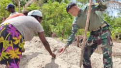Manfaatkan Lahan Tidur, Satgas TMMD Ke-128 Kodim 1710/Mimika Tanam Jagung Bersama Warga