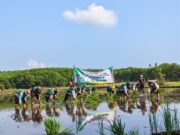 Perkuat Sektor Pertanian, Koramil Kanigaran Bersama Sejumlah Pihak Laksanakan Kegiatan Gerakan Percepatan Tanam Bimtek P3OPT dan Sosialisasi Sifortuna