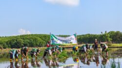 Perkuat Sektor Pertanian, Koramil Kanigaran Bersama Sejumlah Pihak Laksanakan Kegiatan Gerakan Percepatan Tanam Bimtek P3OPT dan Sosialisasi Sifortuna Perkuat Sektor Pertanian, Koramil Kanigaran Bersama Sejumlah Pihak Laksanakan Kegiatan Gerakan Percepatan Tanam Bimtek P3OPT dan Sosialisasi Sifortuna