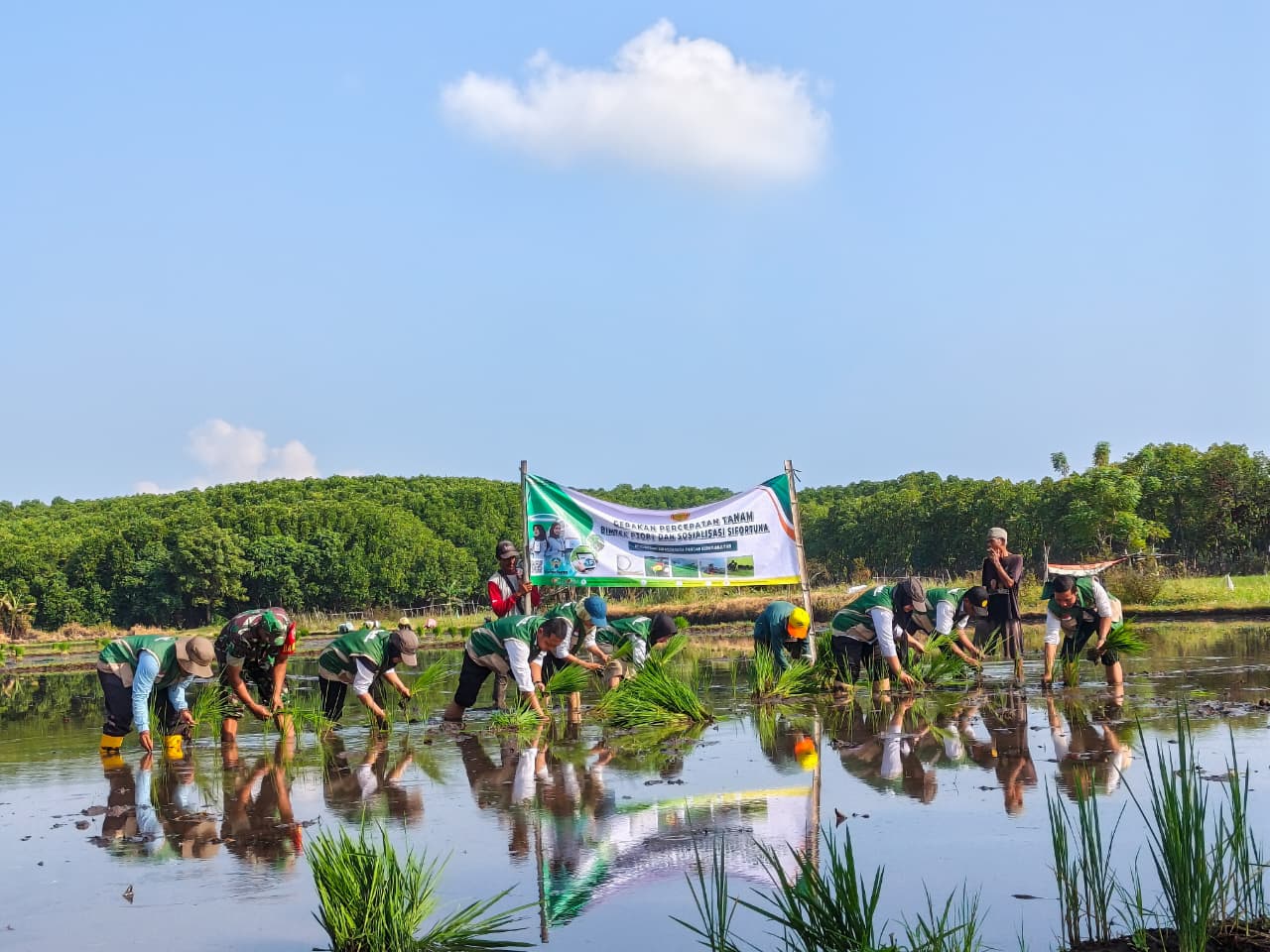 Perkuat Sektor Pertanian, Koramil Kanigaran Bersama Sejumlah Pihak Laksanakan Kegiatan Gerakan Percepatan Tanam Bimtek P3OPT dan Sosialisasi Sifortuna