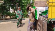 Tingkatkan Ketahanan Pangan Nasional, Koramil Wonomerto Dampingi Penyerahan Bantuan Bibit Jagung Kepada Kelompok Tani