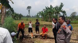 Terungkap! Perempuan Ditemukan Tak Sadarkan Diri di Sawah Probolinggo Jadi Korban Penganiayaan Bermotif Dendam