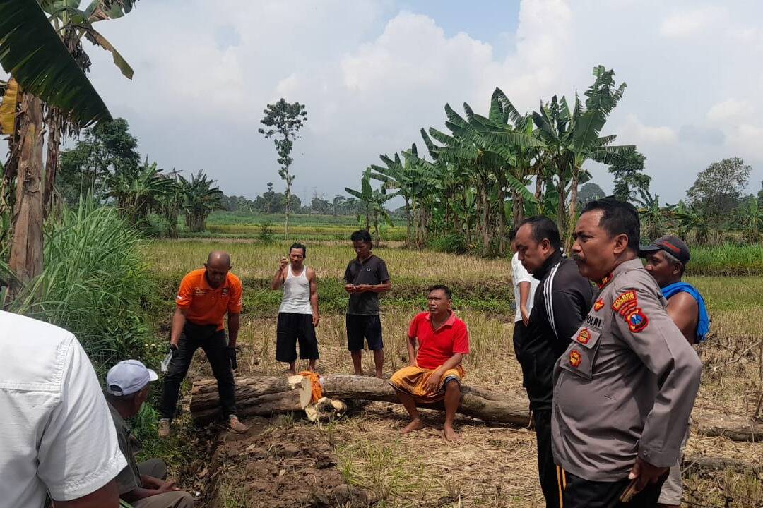 Terungkap! Perempuan Ditemukan Tak Sadarkan Diri di Sawah Probolinggo Jadi Korban Penganiayaan Bermotif Dendam Terungkap! Perempuan Ditemukan Tak Sadarkan Diri di Sawah Probolinggo Jadi Korban Penganiayaan Bermotif Dendam