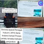 Wow. Diduga Kuat Bos (RHM) Pembeli Kayu Kumea, Gunakan Jonder Langsir Kayu Dari Nuang, Tidak Miliki Izin Diminta Tunjukan PHAT. 