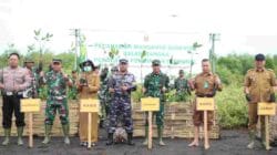 Penguatan Pembinaan Teritorial, Dandim Pimpin Penanaman Mangrove Serentak Di Wilayah Pesisir