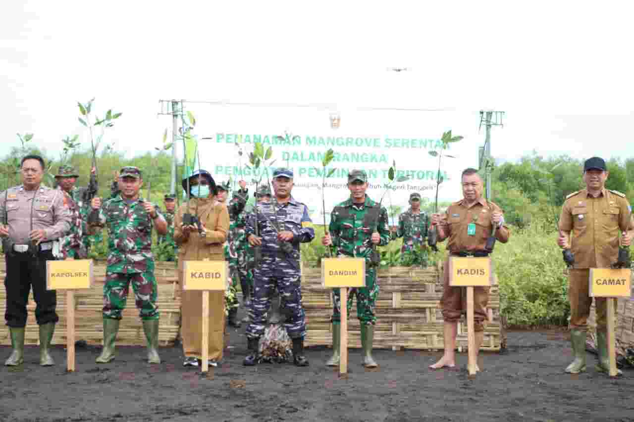 Penguatan Pembinaan Teritorial, Dandim Pimpin Penanaman Mangrove Serentak Di Wilayah Pesisir