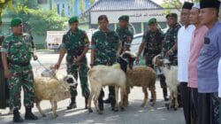 Semangat Berbagi di Idul Adha, Kodim Bojonegoro Salurkan Daging Kurban