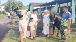 Kodim 0820 Probolinggo Gelar Sholat Idul Adha Dan Sembelih Hewan Kurban Kodim 0820 Probolinggo Gelar Sholat Idul Adha Dan Sembelih Hewan Kurban