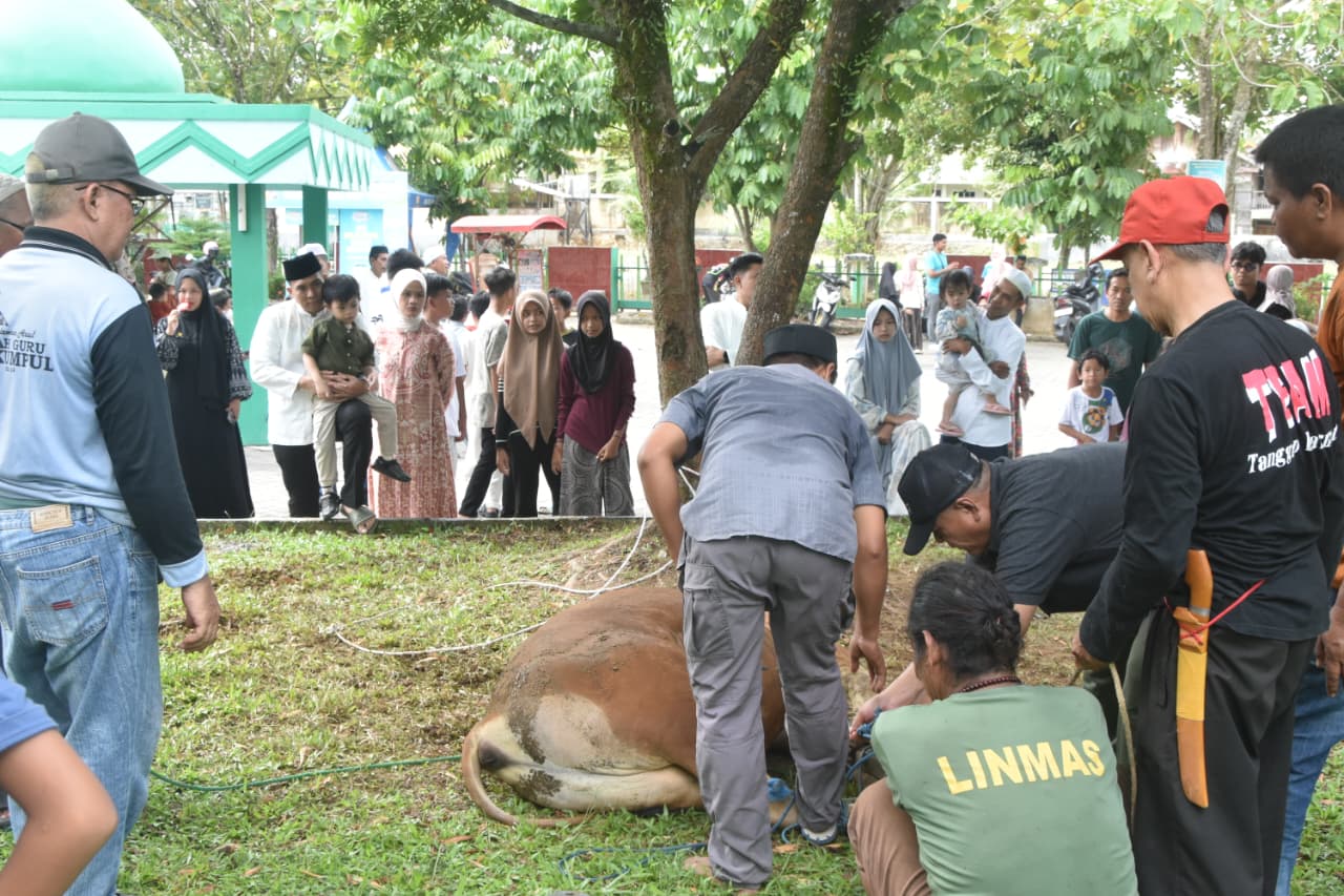 Berbagi di Hari Raya Kurban, Dandim 1002/HST Serahkan Hewan Kurban