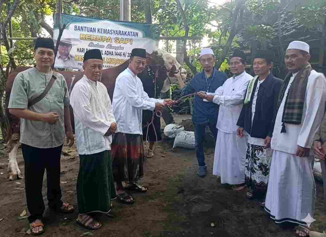 Pemkab Probolinggo Serahkan Sapi Kurban Presiden Prabowo ke Masjid Besar Darul Muqorrobin Kuripan Pemkab Probolinggo Serahkan Sapi Kurban Presiden Prabowo ke Masjid Besar Darul Muqorrobin Kuripan