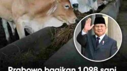 Bantuan Kurban Presiden Capai Rp100 Miliar, Istana Tegaskan Bersumber dari APBN untuk Daerah dan Pesantren