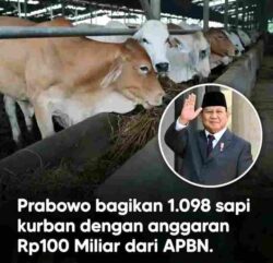 Bantuan Kurban Presiden Capai Rp100 Miliar, Istana Tegaskan Bersumber dari APBN untuk Daerah dan Pesantren