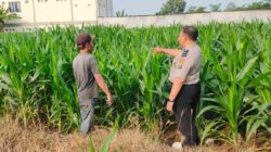 Sambangi Petani Jagung, Polres Probolinggo Kota Perkuat Ketahanan Pangan Nasional